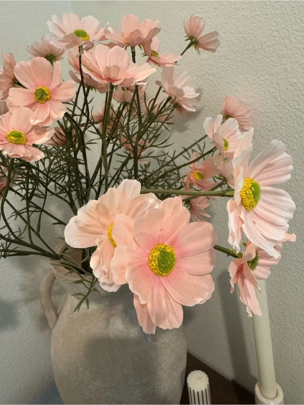 Pink Cosmos Stems